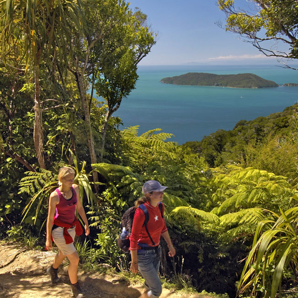It takes four to five days to hike the entire Queen Charlotte Track, dotted with sandy beaches.