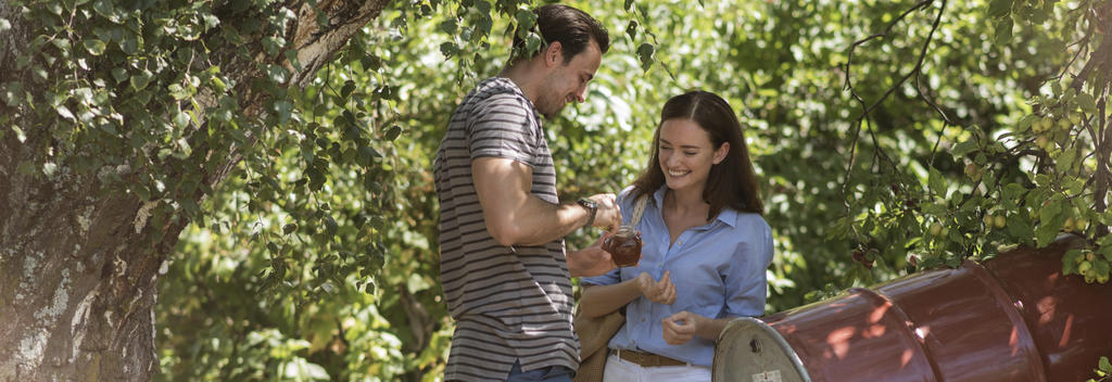 Blenheim liegt im Herzen der Marlborough Region und ist der perfekte Ausgangspunkt für Erkundungstouren zu den ausgezeichneten Weingütern der Region