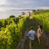 Marlborough ist das ideale Ziel für Paare, die gerne draußen in der Natur unterwegs sind, einen guten Wein und hervorragendes Essen zu schätzen wissen. Perfekt für eine Radtour oder Wanderung!