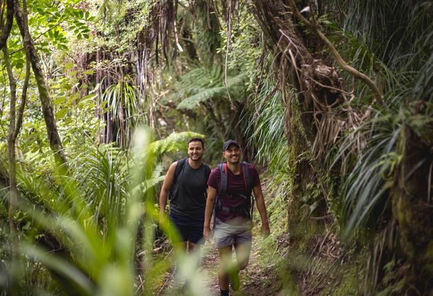 Experience the heart of the Marlborough Sounds as you journey through lush coastal bush and along skyline ridges.