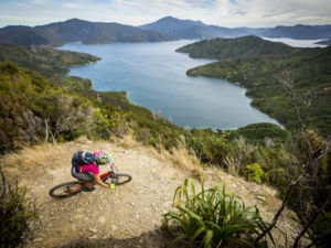 The Queen Charlotte Track is a walking/biking combined trail.  It is open to avid bikers from March - November.