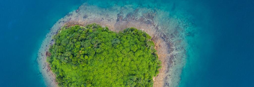 Mabel Island in Picton Harbour