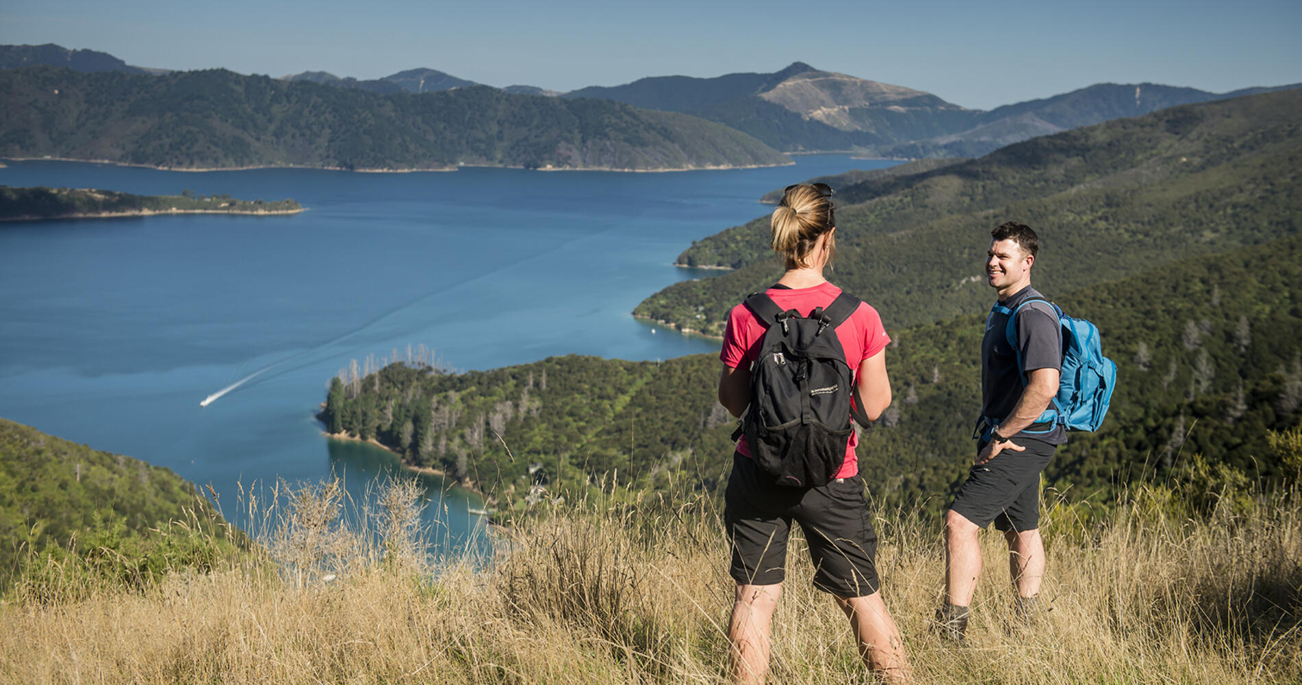 Queen Charlotte Track Marlborough, New Zealand