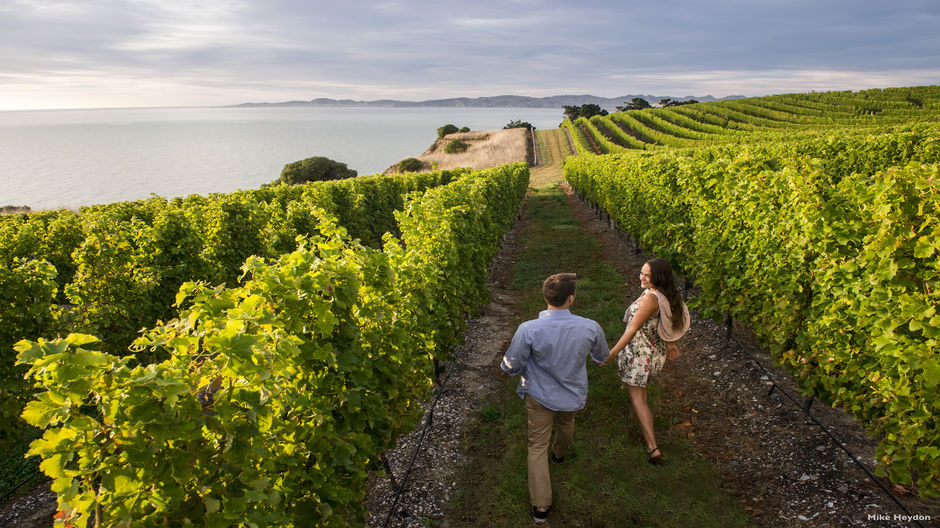 Wandering through the picturesque vineyards of the Marlborough region