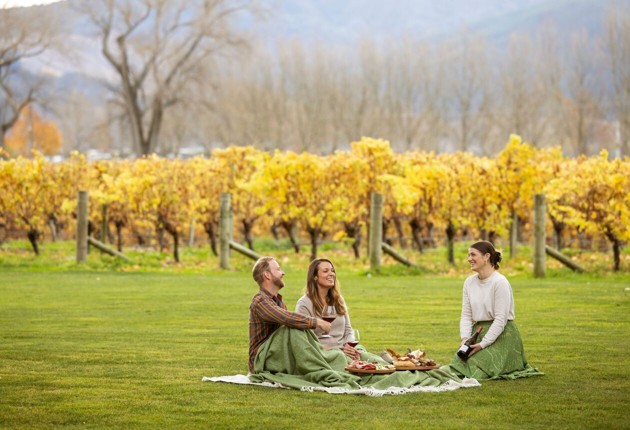 Erkunden Sie Marlboroughs Weinkellereien bei Blenheim mit dem Fahrrad.