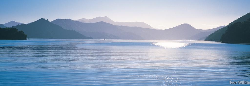 马尔堡峡湾壮阔美景