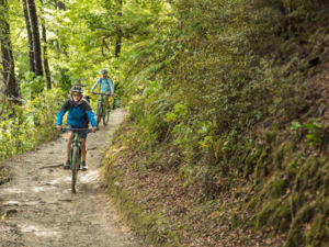 Ride through dense forest on this Great Ride.