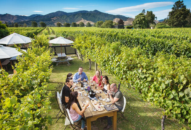 Marlborough, on New Zealand's South Island is the largest wine growing region and home of the world-renowned sauvignon blanc. Take a wine tour or explore the Marlborough Sounds.