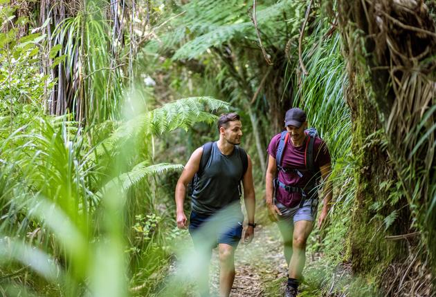 徒步旅行是尽情领略新西兰标志性自然美景的最佳方式。了解关于新西兰著名步道和其他各种徒步步道的更多信息。