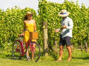 Vineyard Biking