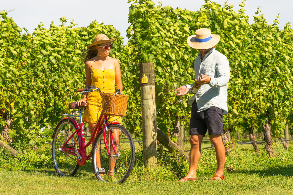 Vineyard Biking