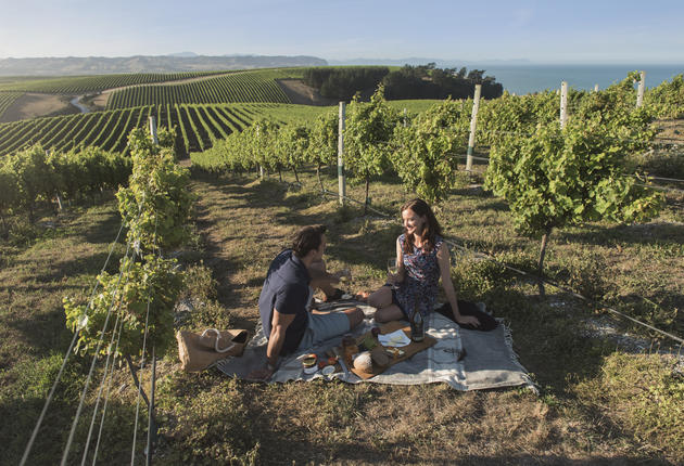 新西兰葡萄酒得益于新西兰拥有适合栽培葡萄的凉爽的气候和较长的日照时间。