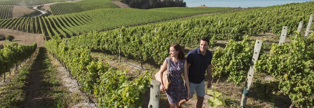 Taste your way around New Zealand, and you'll discover food and wine that's original, world-class, and fresh from the source.