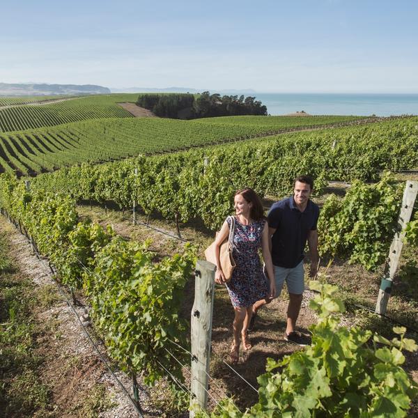 Taste your way around New Zealand, and you'll discover food and wine that's original, world-class, and fresh from the source.