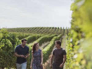 Located 25km south of Blenheim, Seddon is home to the award-winning Yealands Estate.
