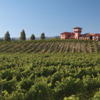 一座位于马尔堡地区的风景如画的葡萄酒庄