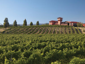 一座位于马尔堡地区的风景如画的葡萄酒庄
