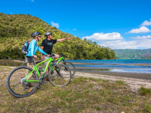 You will bike pass many secluded bays on Queen Charlotte Track.