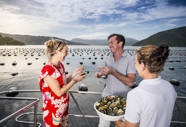 The winding waterways of the Marlborough Sounds make up one-fifth of New Zealand’s coastline. Excellent seafood and amazing scenery are just some of Marlboroughs delights. 