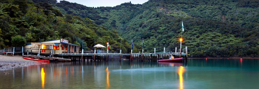 Queen Charlotte Track, Marlborough Sounds