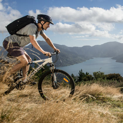 Mountain biking is a great way to do the Queen Charlotte Track - even if you&#039;re a beginner.