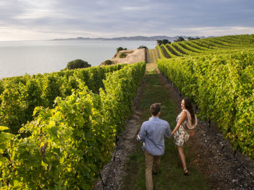 ちょっと時間をみつけて、ニュージーランドを探検してみましょう。いつもの観光ルートを外れて、移りゆく風景を探しに行くのもよいものです。