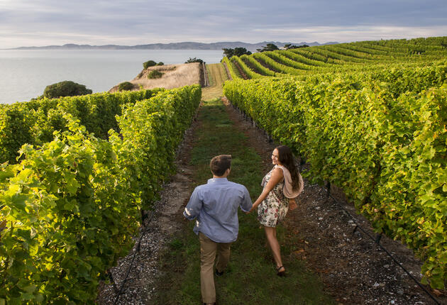 The sunny town of Blenheim is an ideal base for those who want to explore the local wine and food culture. Bike around the vineyards or catch a tour.