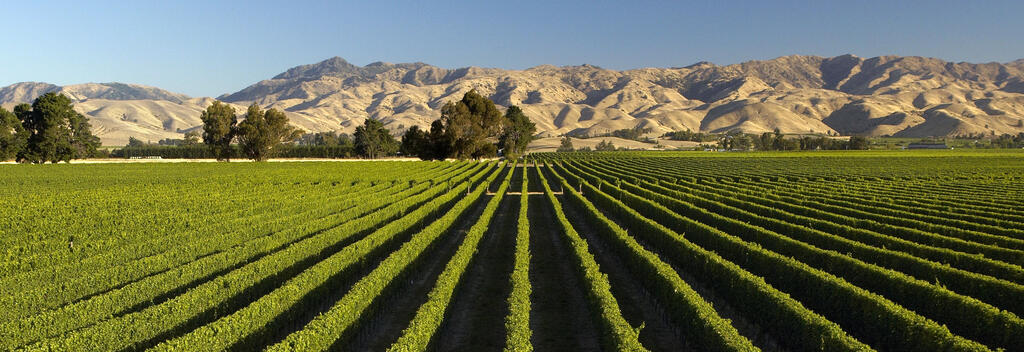 Wander through, relax and unwind