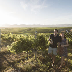 体验马尔堡的闻名世界的美酒——苏维农白朗（长相思）。