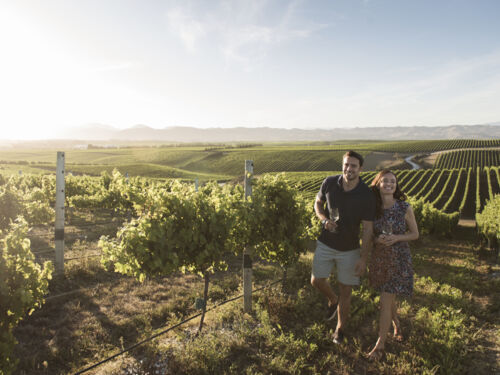 体验马尔堡的闻名世界的美酒——苏维农白朗（长相思）。