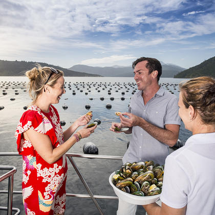 Cruising in the Marlborough Sounds