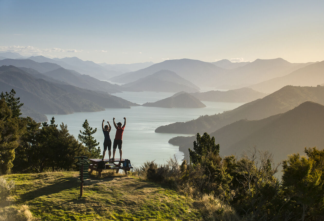 Experience the heart of the Marlborough Sounds as you journey through lush coastal bush and along skyline ridges.