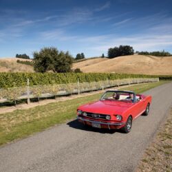 布兰卡特酒庄首席酿酒师Patrick Materman与殳俏驾着复古老爷车畅游酒庄