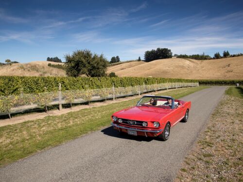 布兰卡特酒庄首席酿酒师Patrick Materman与殳俏驾着复古老爷车畅游酒庄