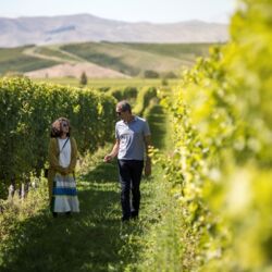 Patrick与殳俏漫步在洒满金色阳光的葡萄园