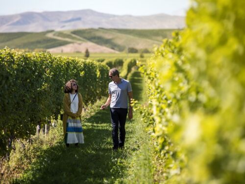 Patrick与殳俏漫步在洒满金色阳光的葡萄园