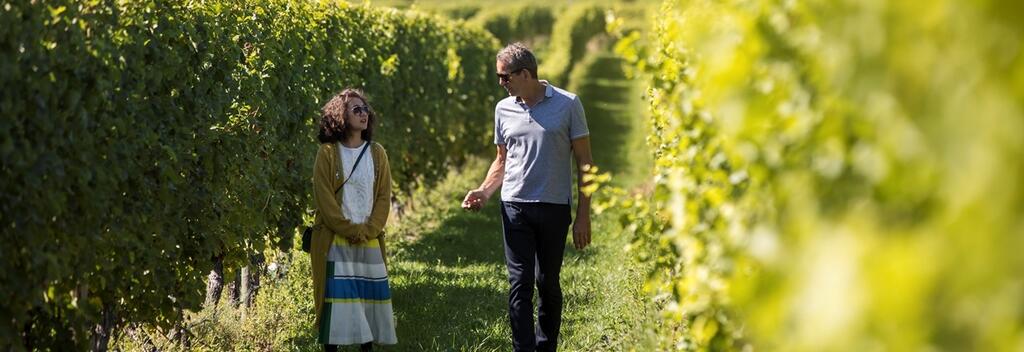 布兰卡特酒庄首席酿酒师Patrick Materman与殳俏漫步在洒满金色阳光的葡萄园