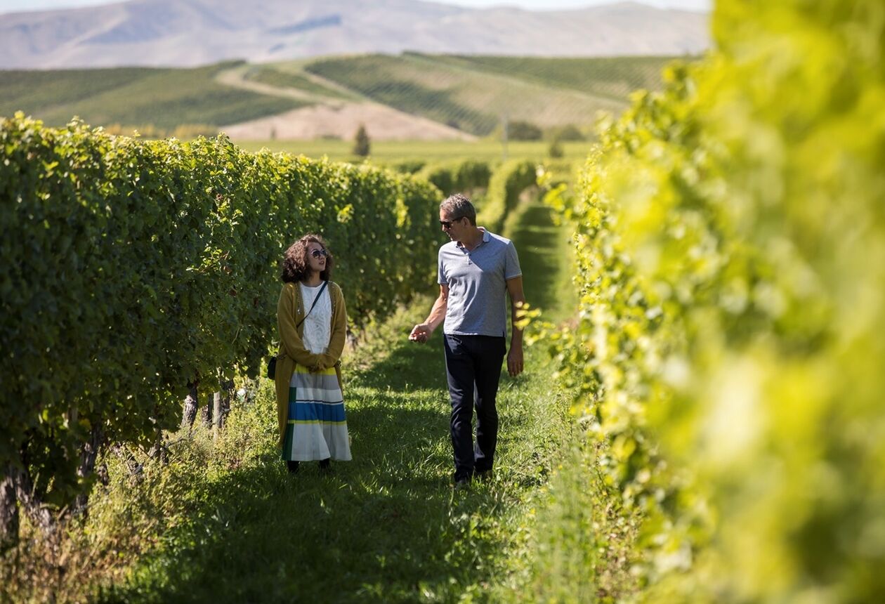 新西兰的首都惠灵顿、尼尔森塔斯曼以及马尔堡地区，是新西兰地理位置的中心，也是新西兰文化艺术与美食美酒的精髓所在，因而被称为“长白云之心”。新西兰旅游局邀请作家殳俏，前往“长白云之心”，在马尔堡探寻自然的馈赠，领略食物与自然的美妙循环；在惠灵顿跟随城市的节奏，感受食物、人以及城市的完美互动。