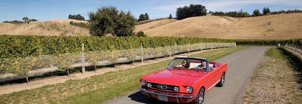 布兰卡特酒庄首席酿酒师Patrick Materman与殳俏驾着复古老爷车畅游酒庄