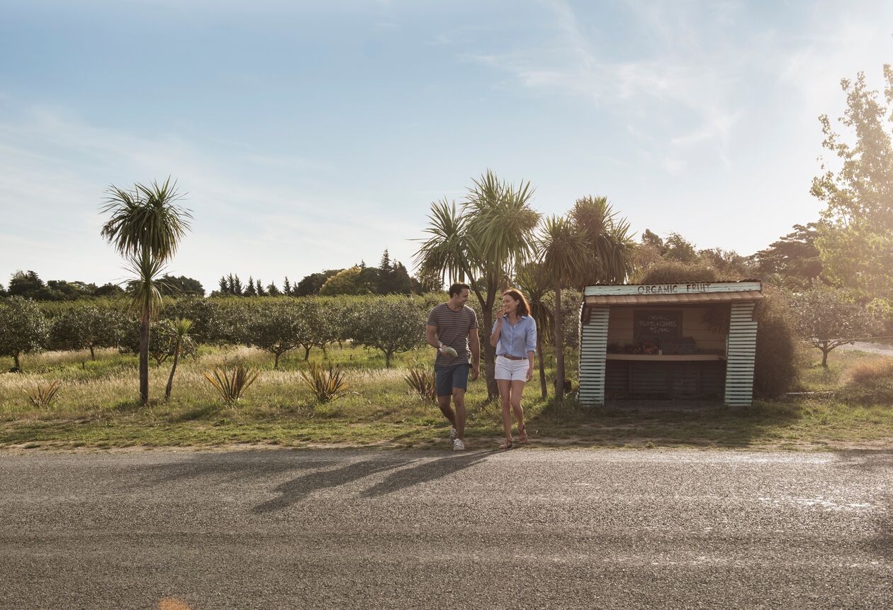 The sunny town of Blenheim is an ideal base for those who want to explore the local wine and food culture. Bike around the vineyards or catch a tour.