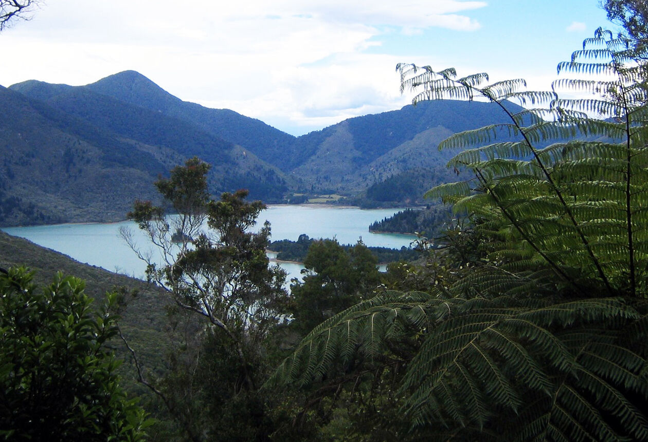 Journey through farmland and lush native forest. Enjoy panoramic views of the Marlborough Sounds and overnight at historic Nydia Bay.