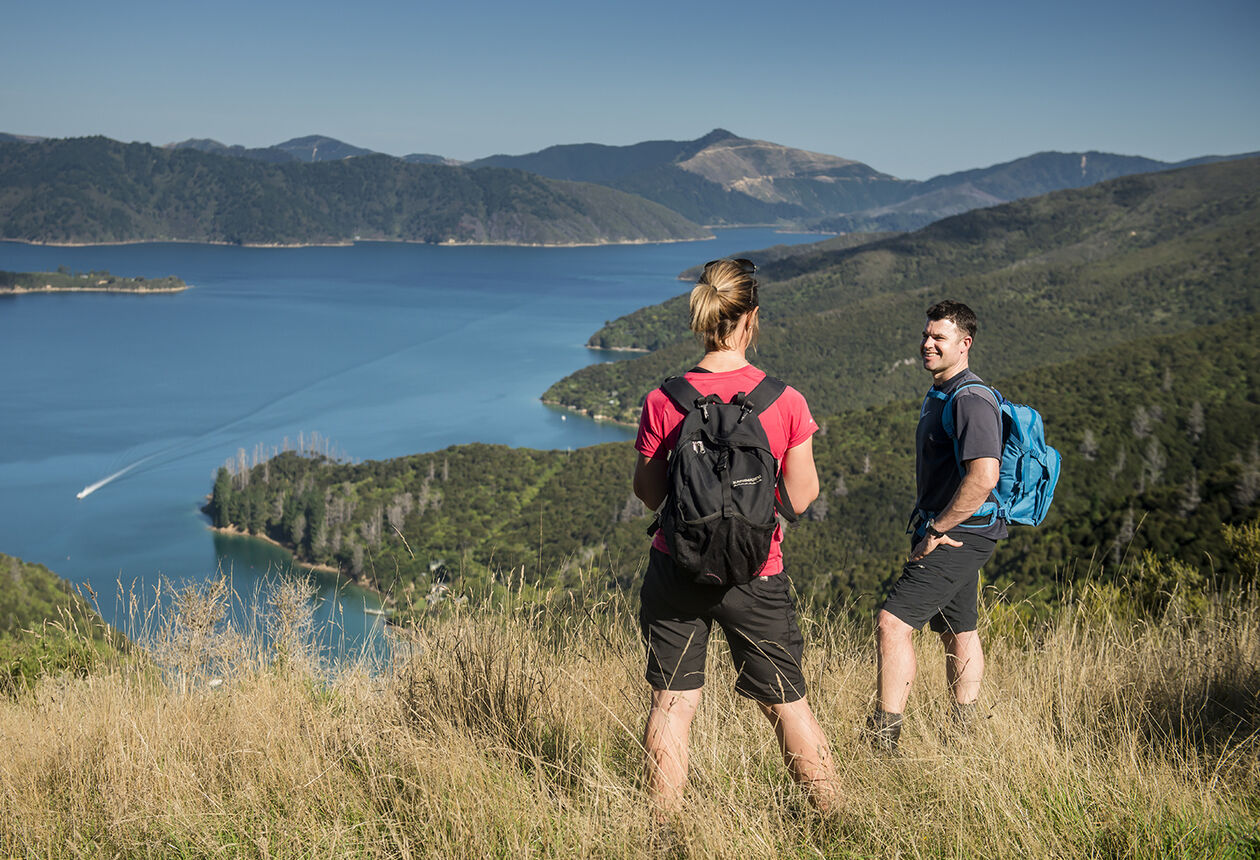 울창한 해안 산림과 하늘과 맞닿은 능선에서 걷고 자전거로 달리며 말버러사운즈 지역의 심장부를 경험하자.