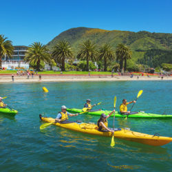 Kayaking, Picton