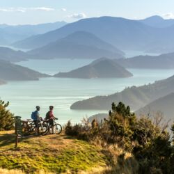 クィーン・シャーロット・トラック