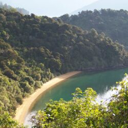 原生林と美しい海岸線に囲まれた全長40kmほどの道。