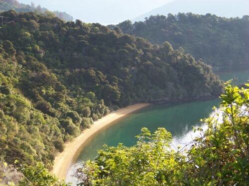 原生林と美しい海岸線に囲まれた全長40kmほどの道。
