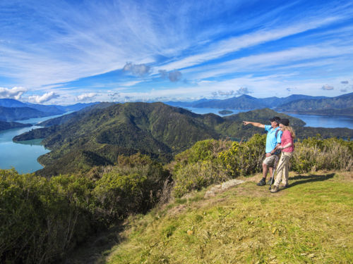 Overlooking Marlborough Sounds