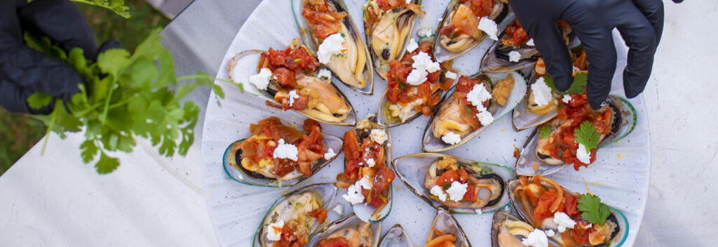 Chef plating mussels with garnish at Marlborough Food & Wine Festival