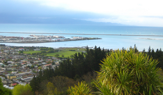 Ausblick auf die Küste vom Centre of New Zealand-Weg.