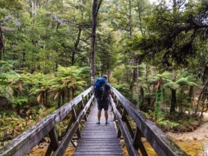 Abel Tasman Coastal Track